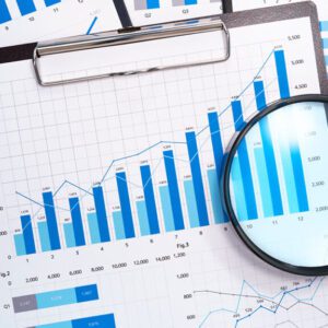 Statutory Audit